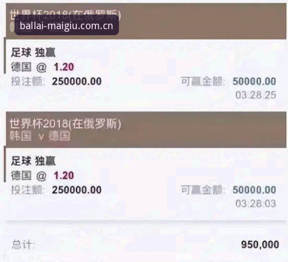 2025世界杯买球软件哪个好？专业分析师推荐的3个关键标准